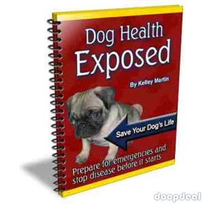 Dog Health Exposed/Perfect HandBook4 Dog Owners