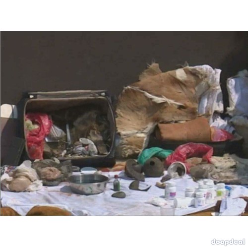 Online voodoo lost love spells in Charleston,NC{+27784002267}White magic love spells & Black magic removal