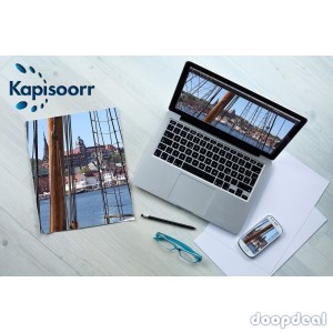 Web development support for new American based businesses