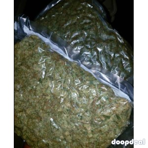 Get your topshelf strains at an affordable ticket