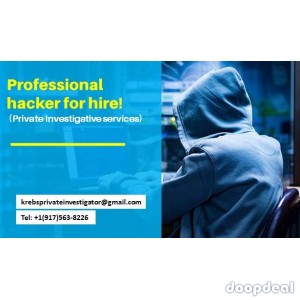 Professional hacker for hire!(Private Investigative services)