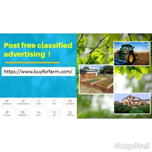 Post Free Classifieds. Free Classified Advertising Online