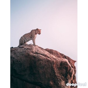 Let’s take you into the heartbeat of Africa!!