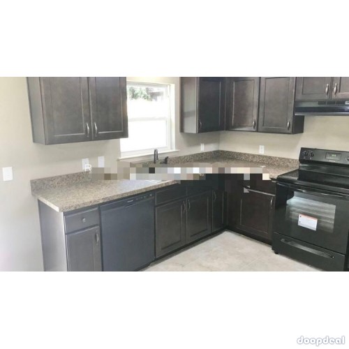 brand new home for rent