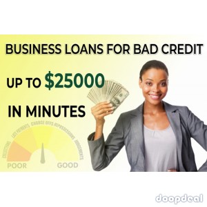 Business loans for startups No Credit Check up to  $25000 in minutes