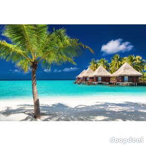 Earn Passive Income Daily