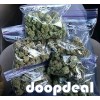 WICKR I.D=(atozcrc) WEED+SEEDS Xtc, Cans,oxys,Math,MDMA,Coke,Lsd,Nembtal txt/wtsp +1*507**881*0466 BIG PURCHASE GETS UPTO 10% OFF 