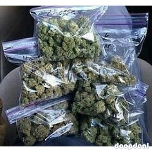 WICKR I.D=(atozcrc) WEED+SEEDS Xtc, Cans,oxys,Math,MDMA,Coke,Lsd,Nembtal txt/wtsp +1*507**881*0466 BIG PURCHASE GETS UPTO 10% OFF 