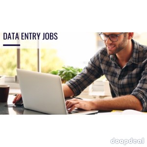 Data Entry & Research Project Assistant