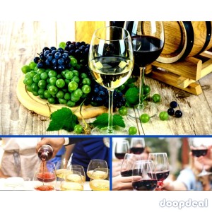 Enjoy Wine. Make Money. It Doesn't Get Any Easier Than This!