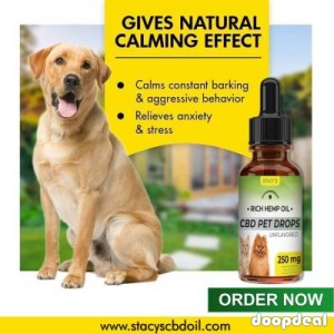 Buy highest qualityCBD Oil