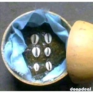 The Best Powerful Spiritual Herbalist In Nigeria+2348055664179