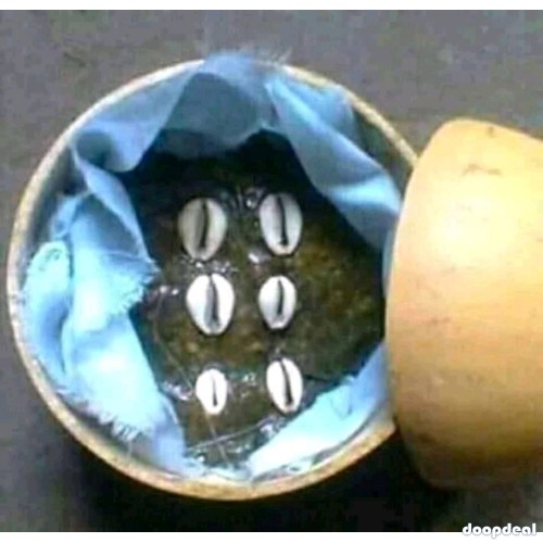 The Best Powerful Spiritual Herbalist In Nigeria+2348055664179