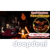 Free Love Back Spells Problem Solutions Online To Get Desired Beloved Within Days