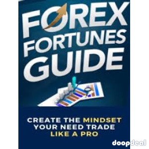 Trading Forex Success Guide